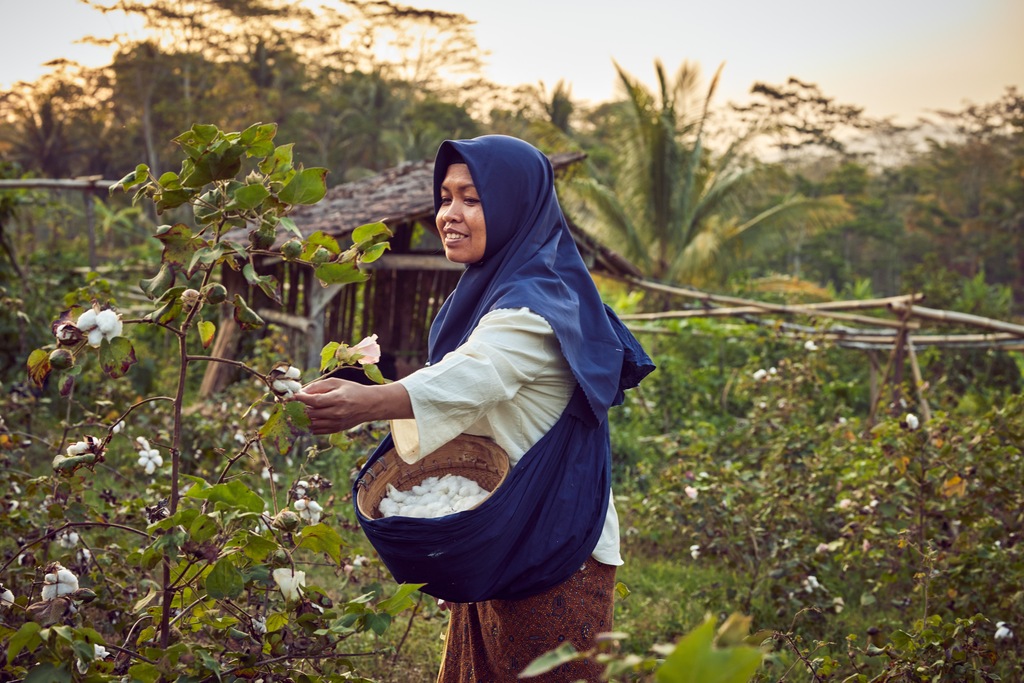 Ibu Dair, an elder smallholder farmer, picks cotton in a farm situated near Central Java, Indonesia. ©Rolex / Sébastien Agnetti
