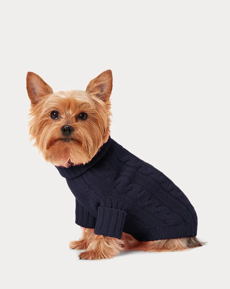 Cable Cashmere Dog Sweater and Bear Wool-Blend Dog Sweater
