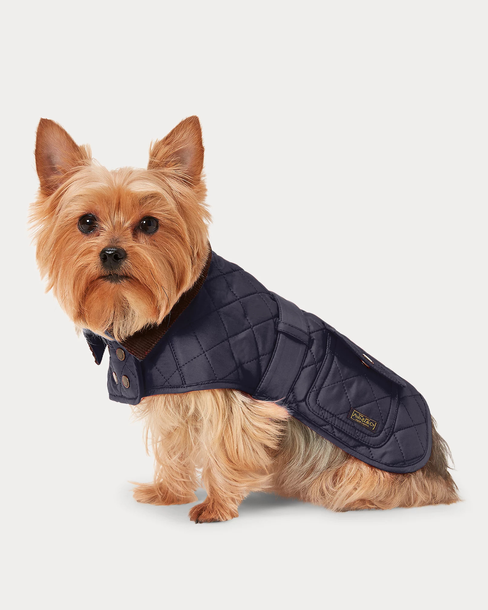 Fleece-Lined Dog Barn Jacket and Big Pony Fleece Dog Hoodie