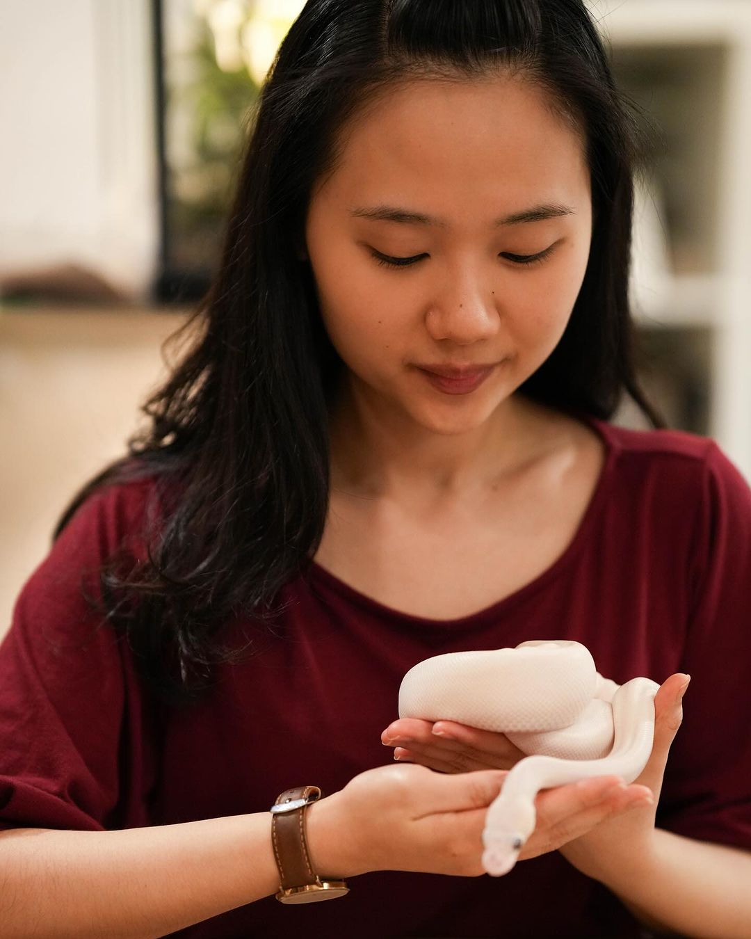 Snakes and lizards abound in Taipei’s Pythonism