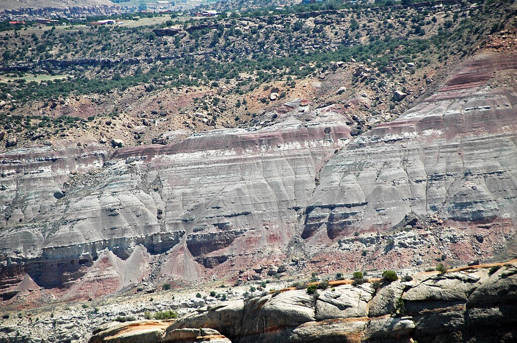 Excavators found the Apex in the Morrison Formation in Colorado
