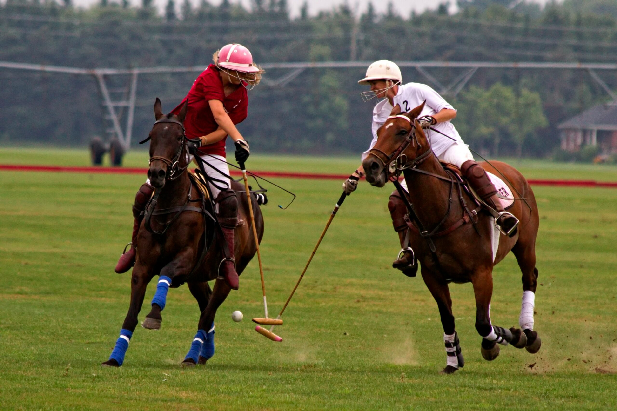 Polo is also known as the “sport of kings”
