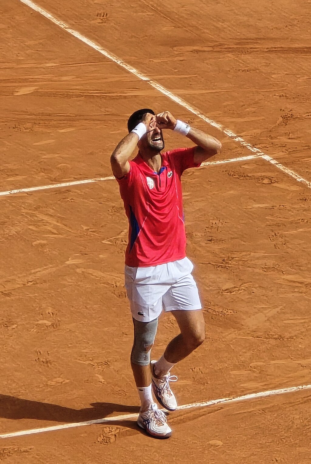 Novak Djokovic after winning gold at the Olympics