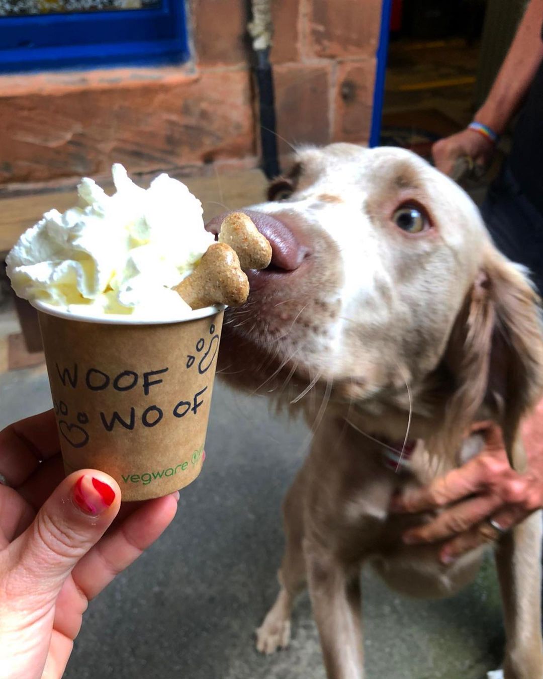 Tasty treats await both owners and fur babies at Singl-end Cafe and Bakehouse