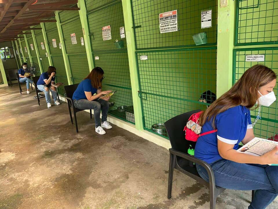 More volunteers reading to PAWS shelter dogs