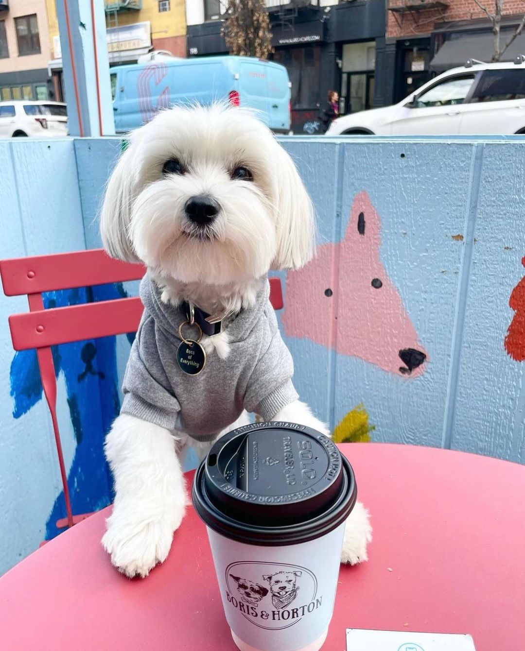 Boris & Horton in East Village welcomes dogs inside and outside