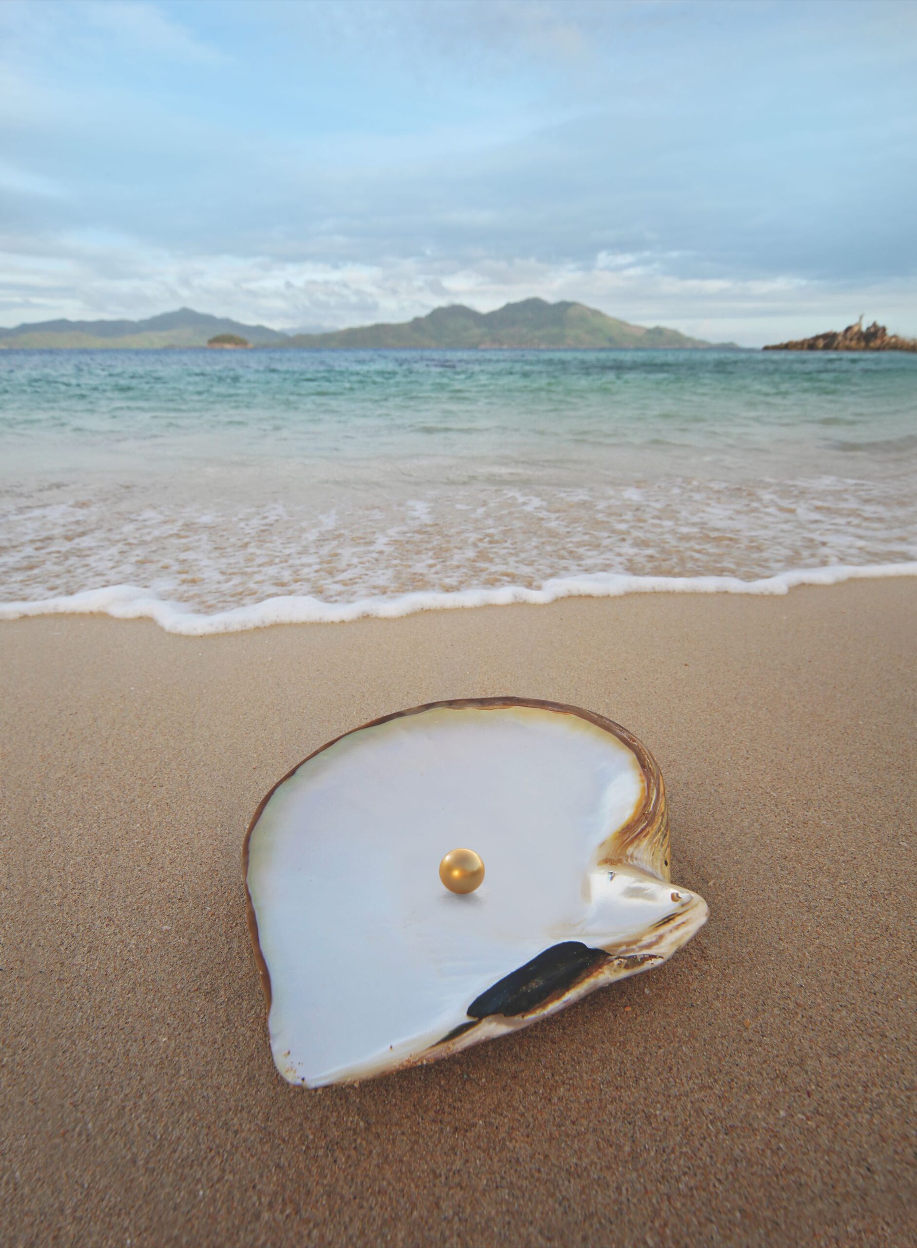 From Jewelmer's pearl farm