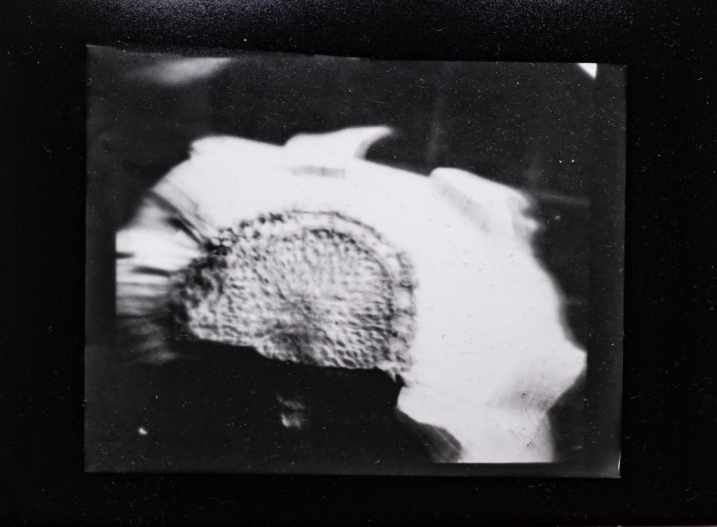 "Bawang" and "Kamatis" Capture and Release Space Encounters Ed Simon