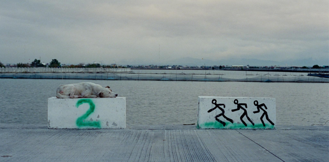 "Megadike Naps" Capture and Release Space Encounters Ulap Chua