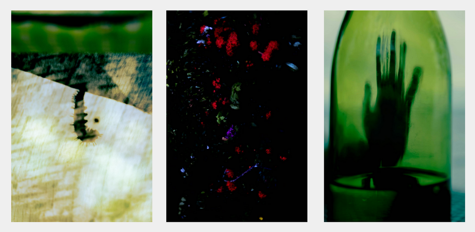 "Green" (triptych) Cru Camara Capture and Release Space Encounters