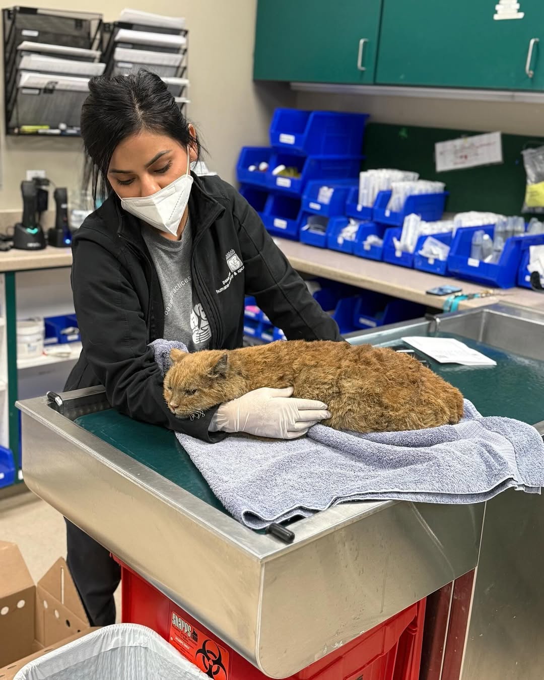 Pasadena Humane Society