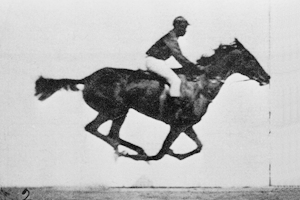 "Horse Galloping," Muybridge's photographic sequence using a zoopraxiscope film animation