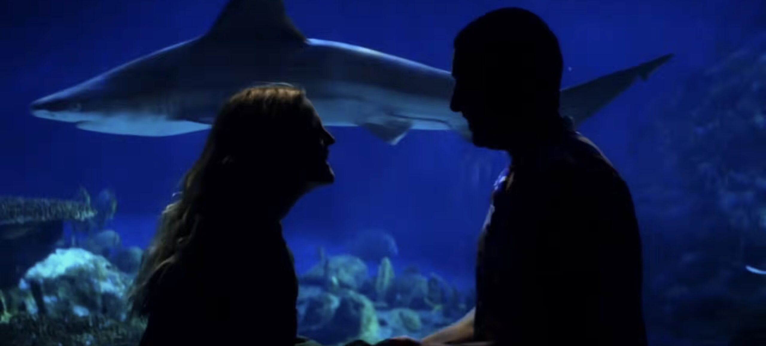 Feel-Good Movies: 8 Romantic Comedies To Watch This Valentine’s Day