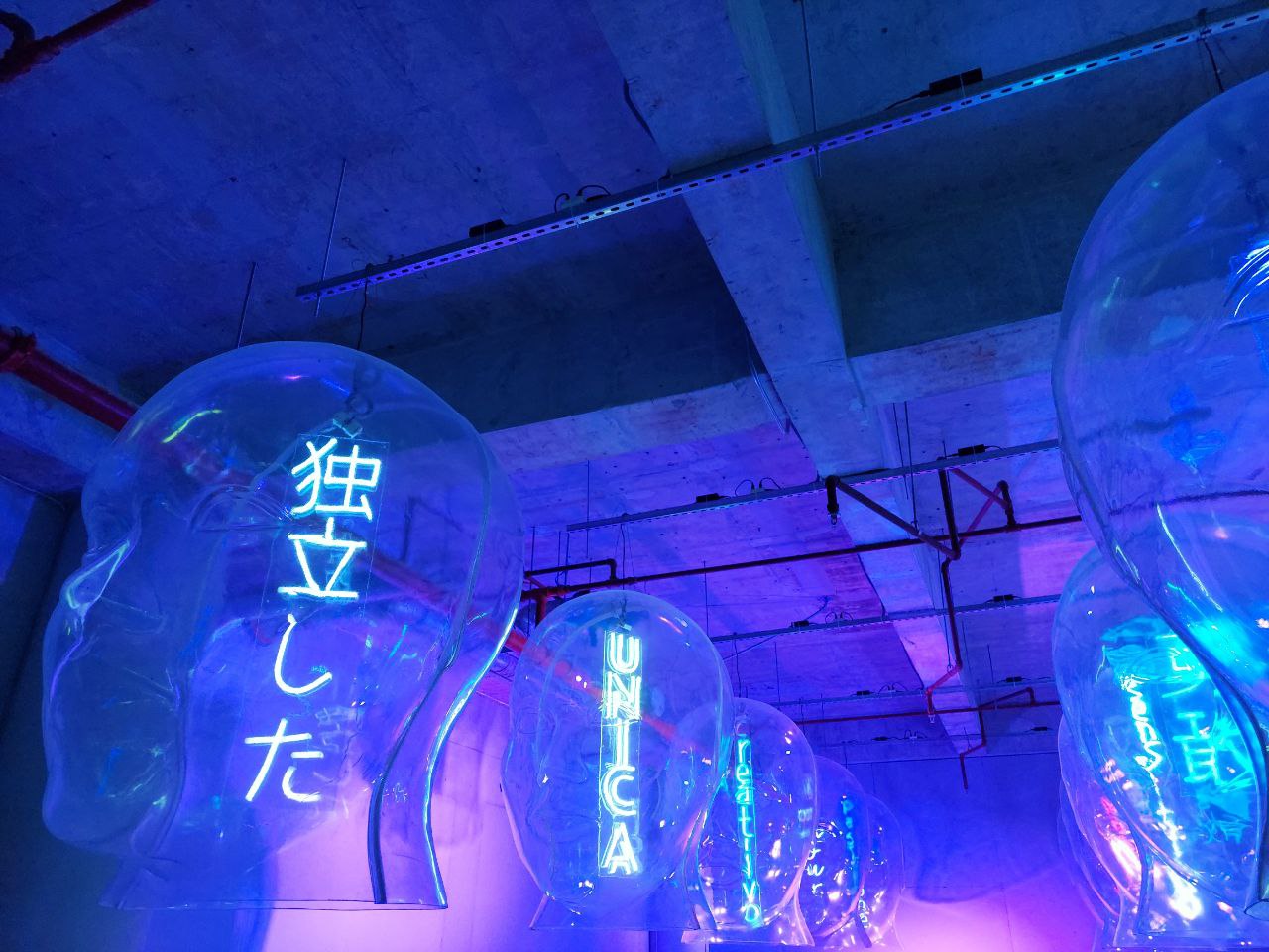 "Talking Heads" by JEFRË and "Wonderland of Lights" by Olivia d'Aboville