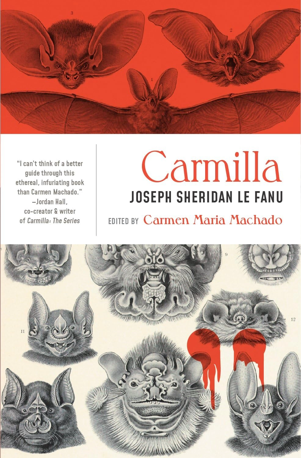 Carmilla Pride