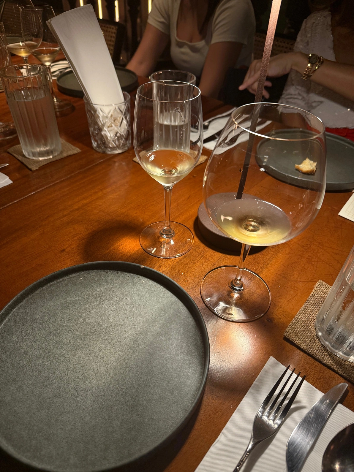 Sommly AI vs Human Tasting