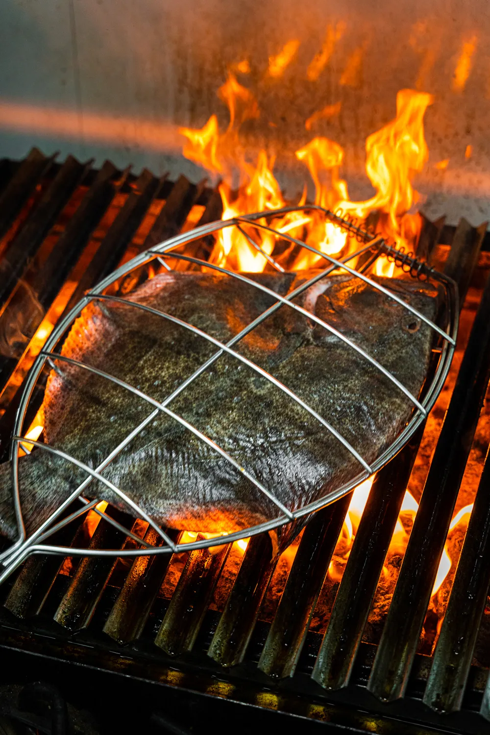 Rodaballo turbot at Cantabria by Chele