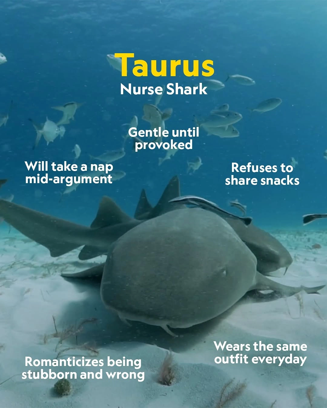 Astrology’s Power Lies In Labels, Not The Stars