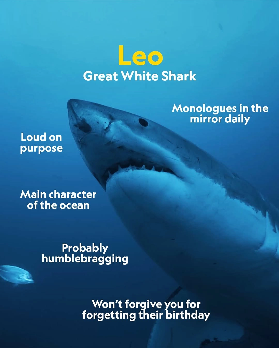 Astrology’s Power Lies In Labels, Not The Stars