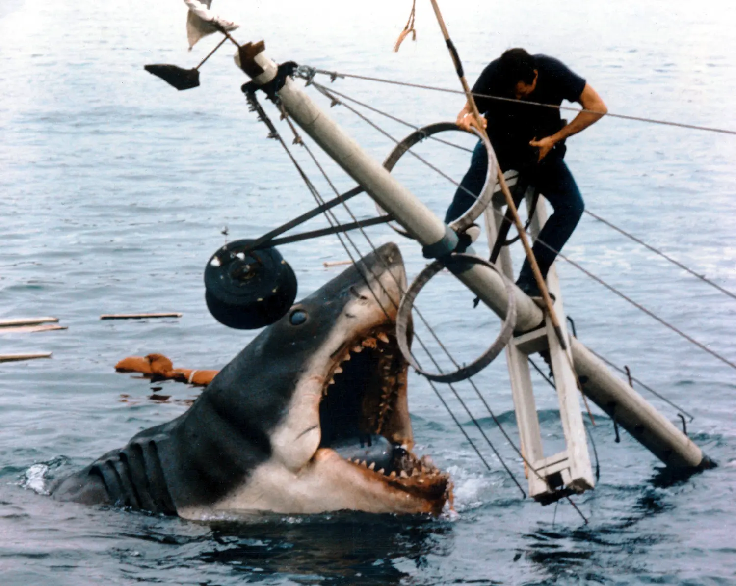 "Jaws" won three Academy Awards at the 1975 Oscars, but was famously snubbed of a Best Director nomination for Steven Spielberg
