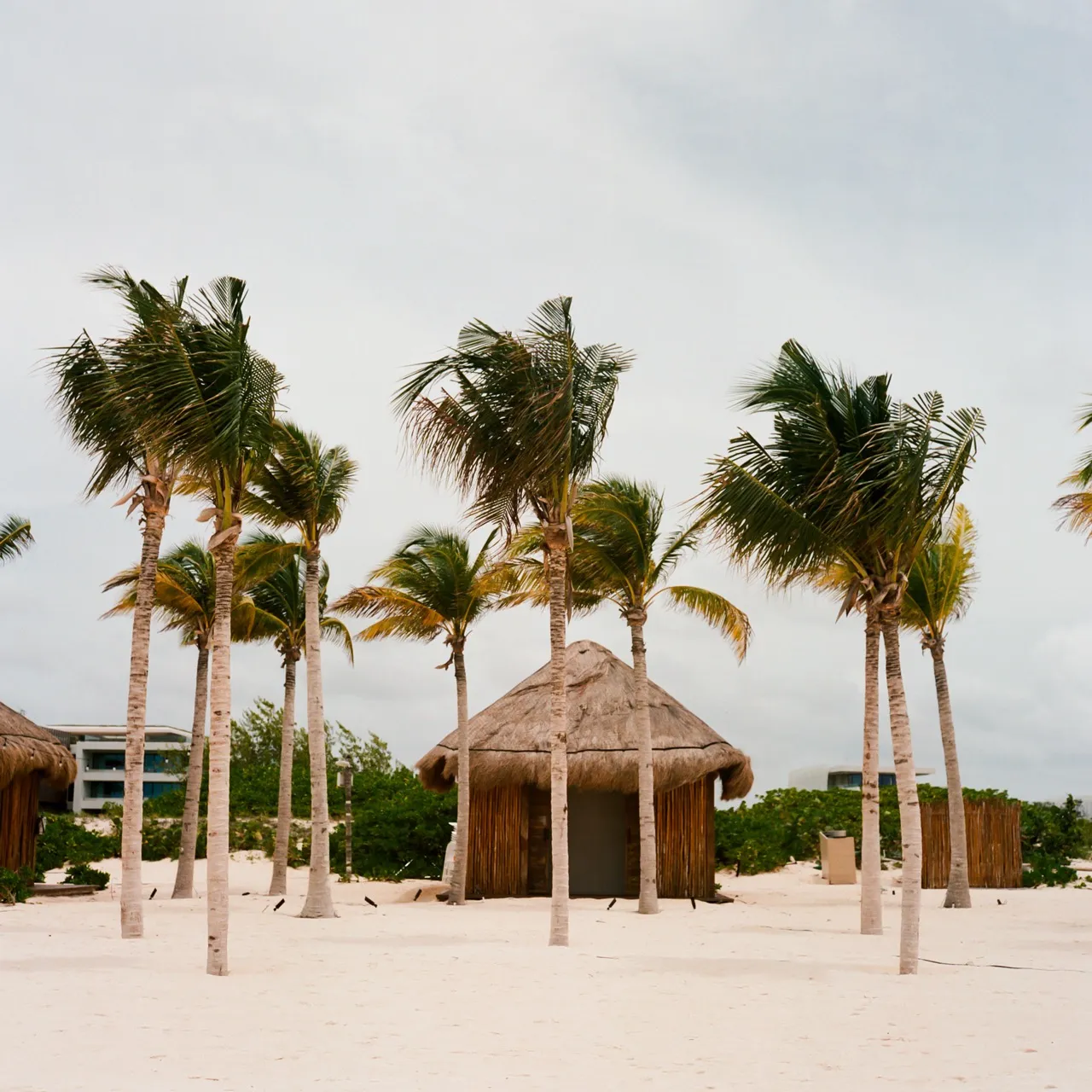 Riane Puno & Sam Rosenberg’s Dreamy Mexico Wedding