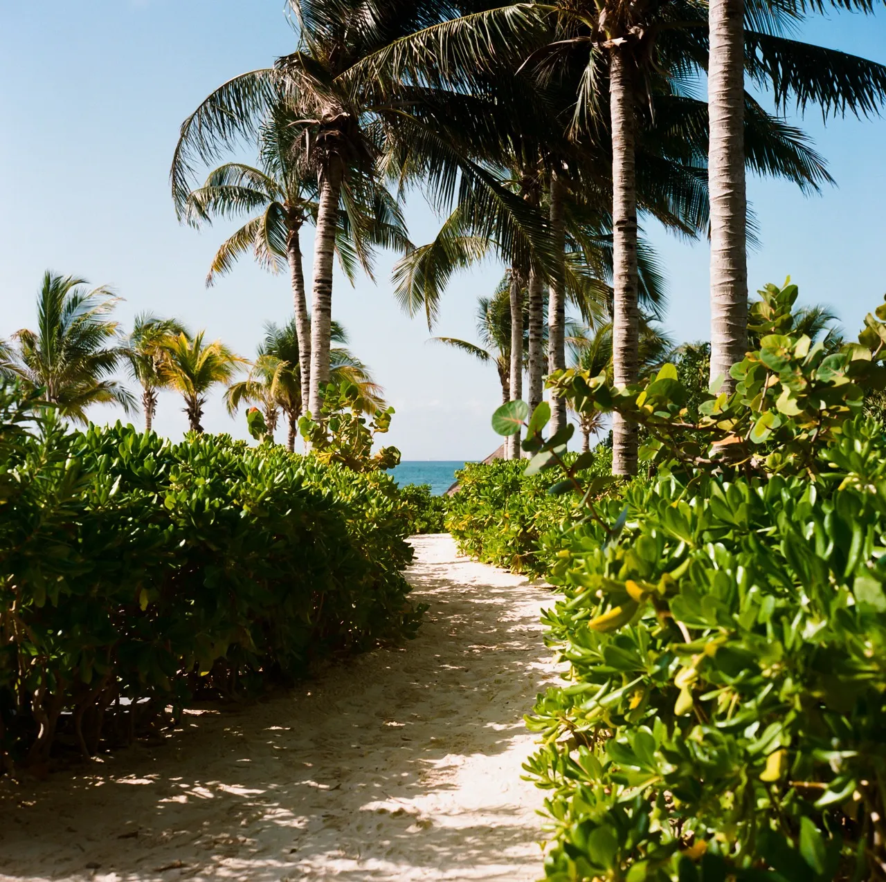 Riane Puno & Sam Rosenberg’s Dreamy Mexico Wedding