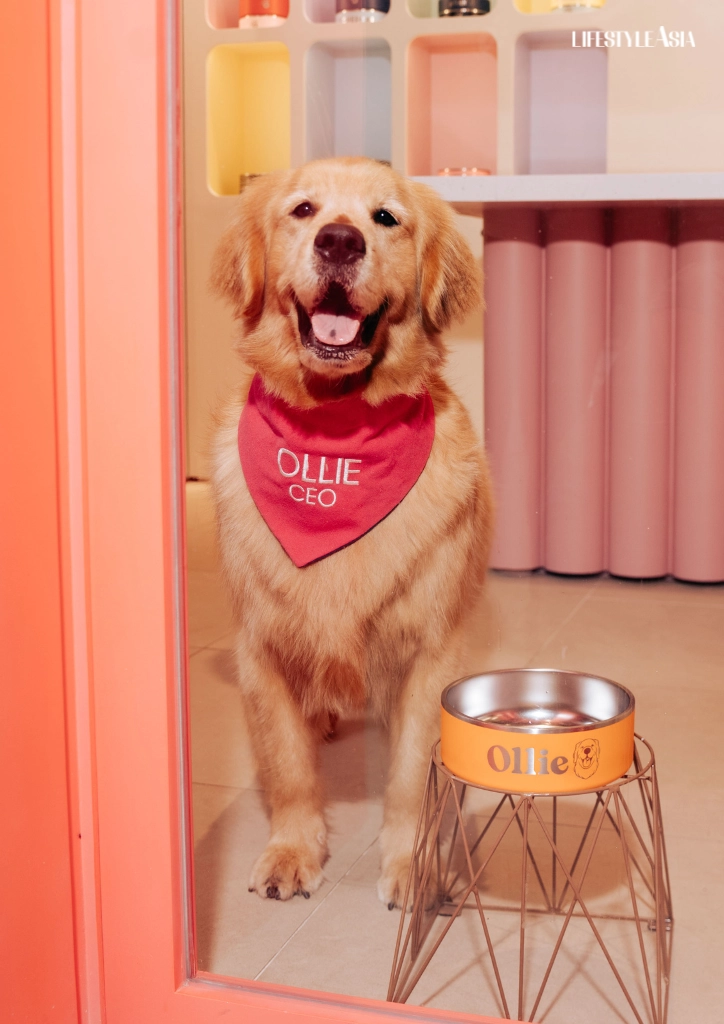 Ollie and Beyond: Izzy Concepcion’s Vision for Pet Retail in the Philippines