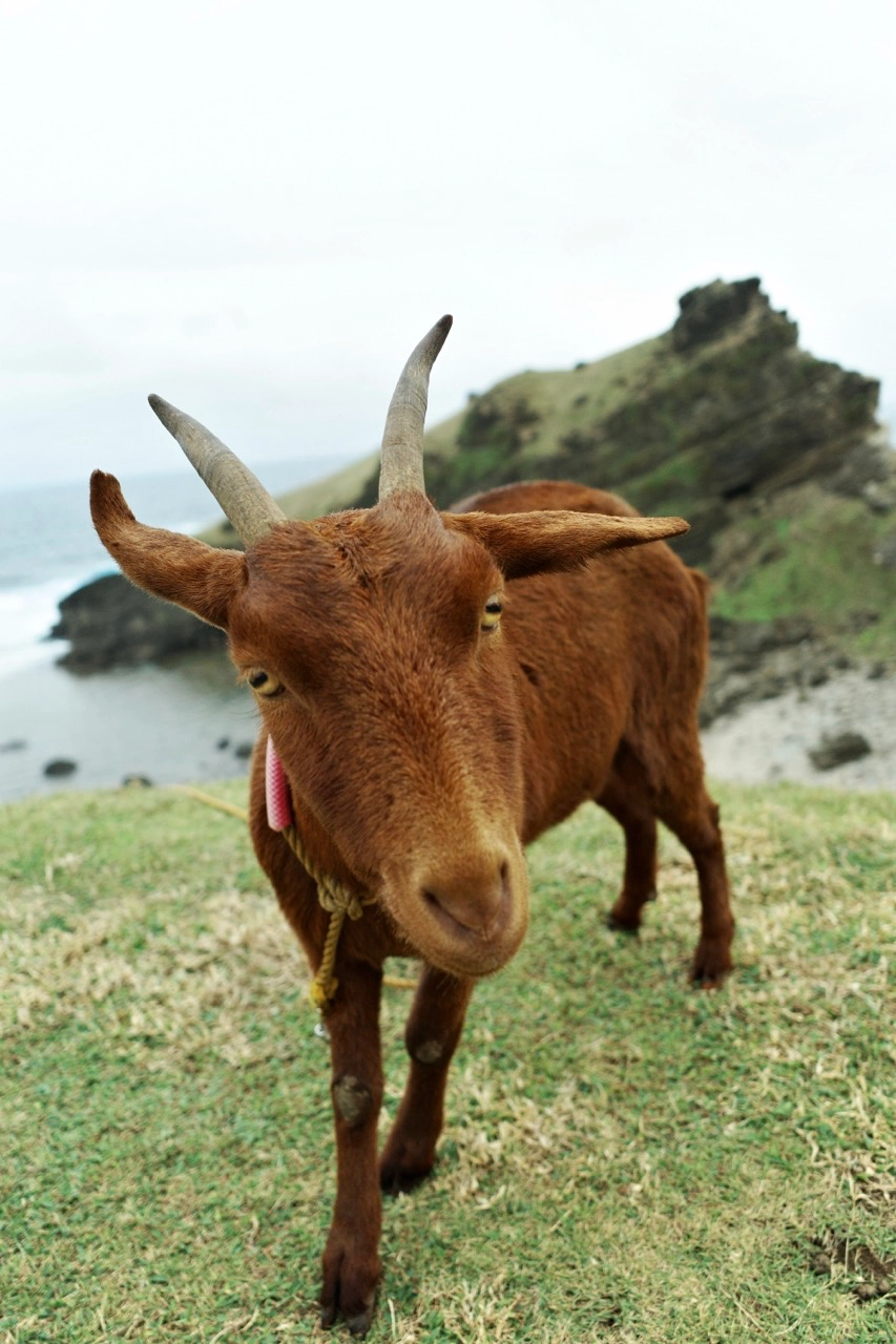 Snapshots Of Batanes by Mikel Panlilio
