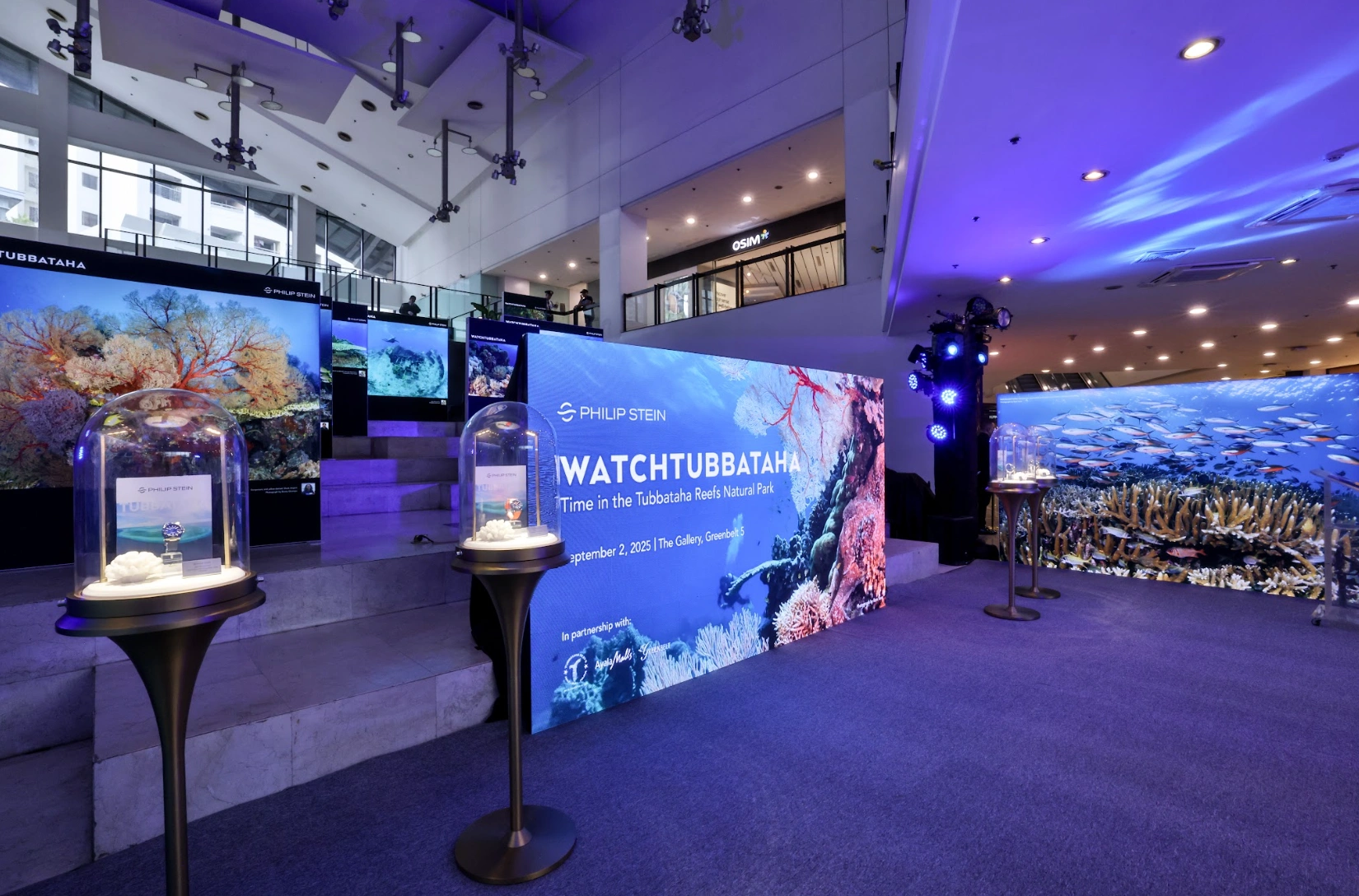 Watch Tubbataha Philip Stein