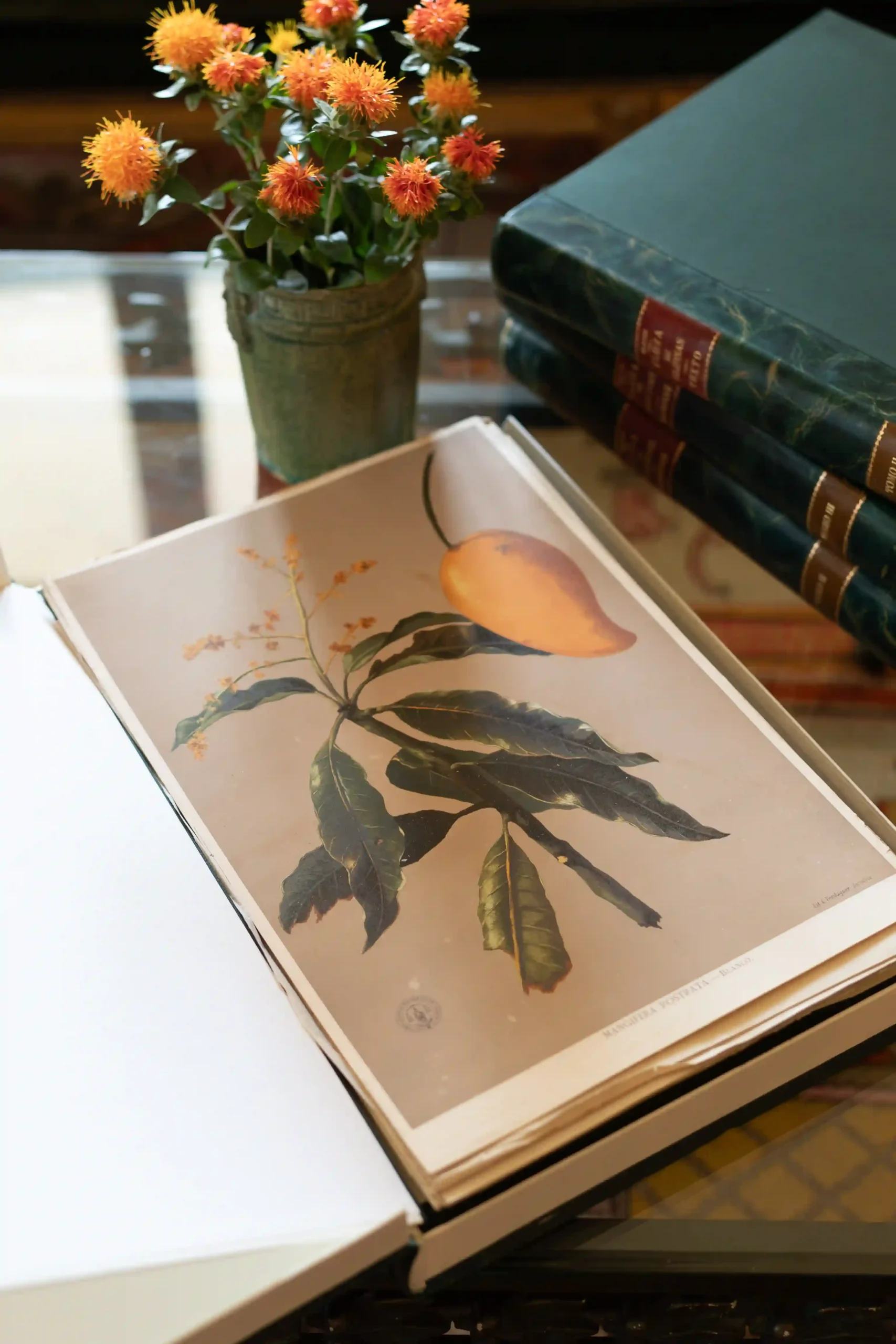 Living With The Arc de Triomphe: Filipino Gallerist Jeffrey Cadayong’s Paris Apartment