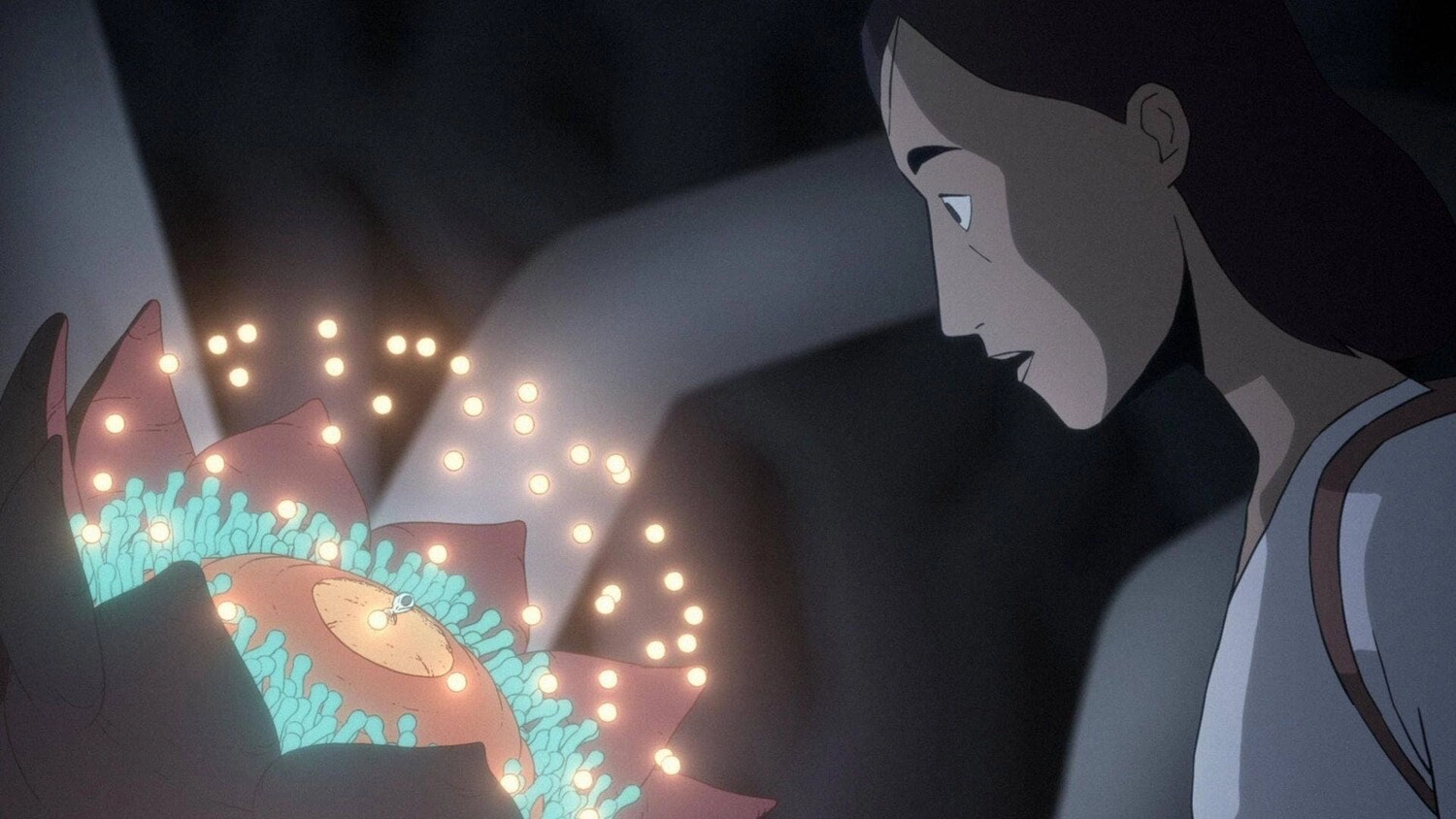 10 Adult Animated Works Worth Watching Animation