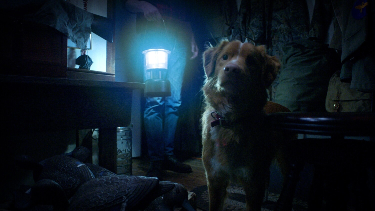 Movie Review: “Good Boy” Finds Horror In Helpless Devotion