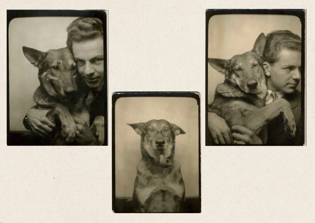 The Price Of Loving A Pet