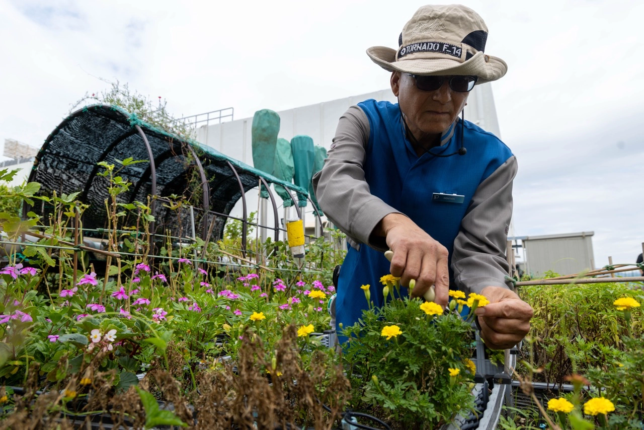 Gastronomy Odyssey: Wining, Dining, And Then Some In Hong Kong 