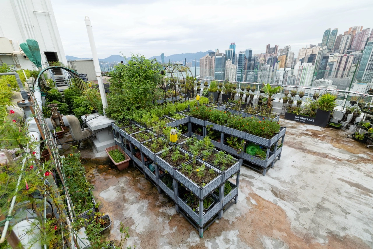 Gastronomy Odyssey: Wining, Dining, And Then Some In Hong Kong 