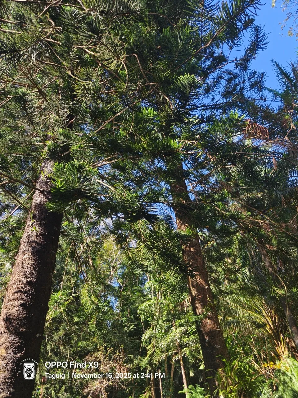 The OPPO Find X9: Keeping Up With the Chaos and Calm of Editorial Life