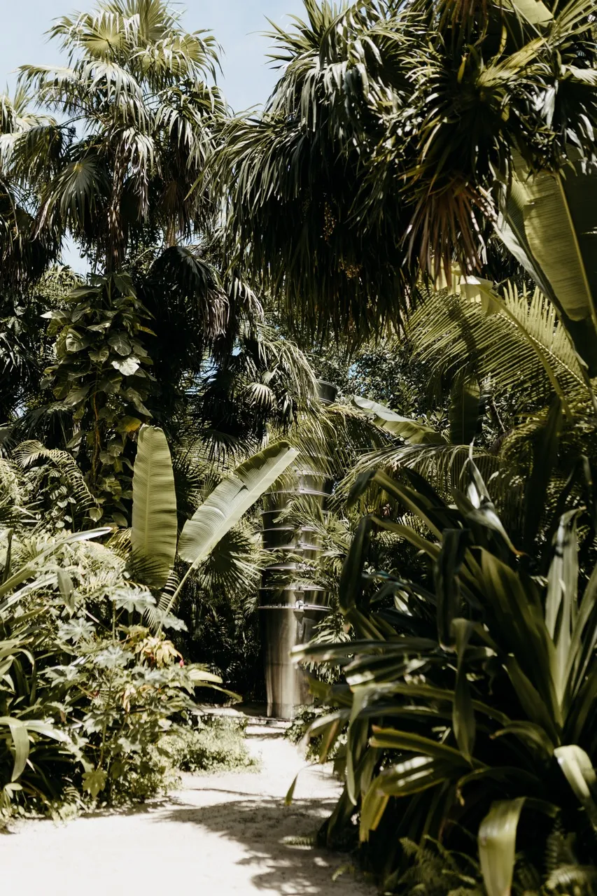 Under the Harvest Moon: Robbie and Marie’s Tulum Love Story