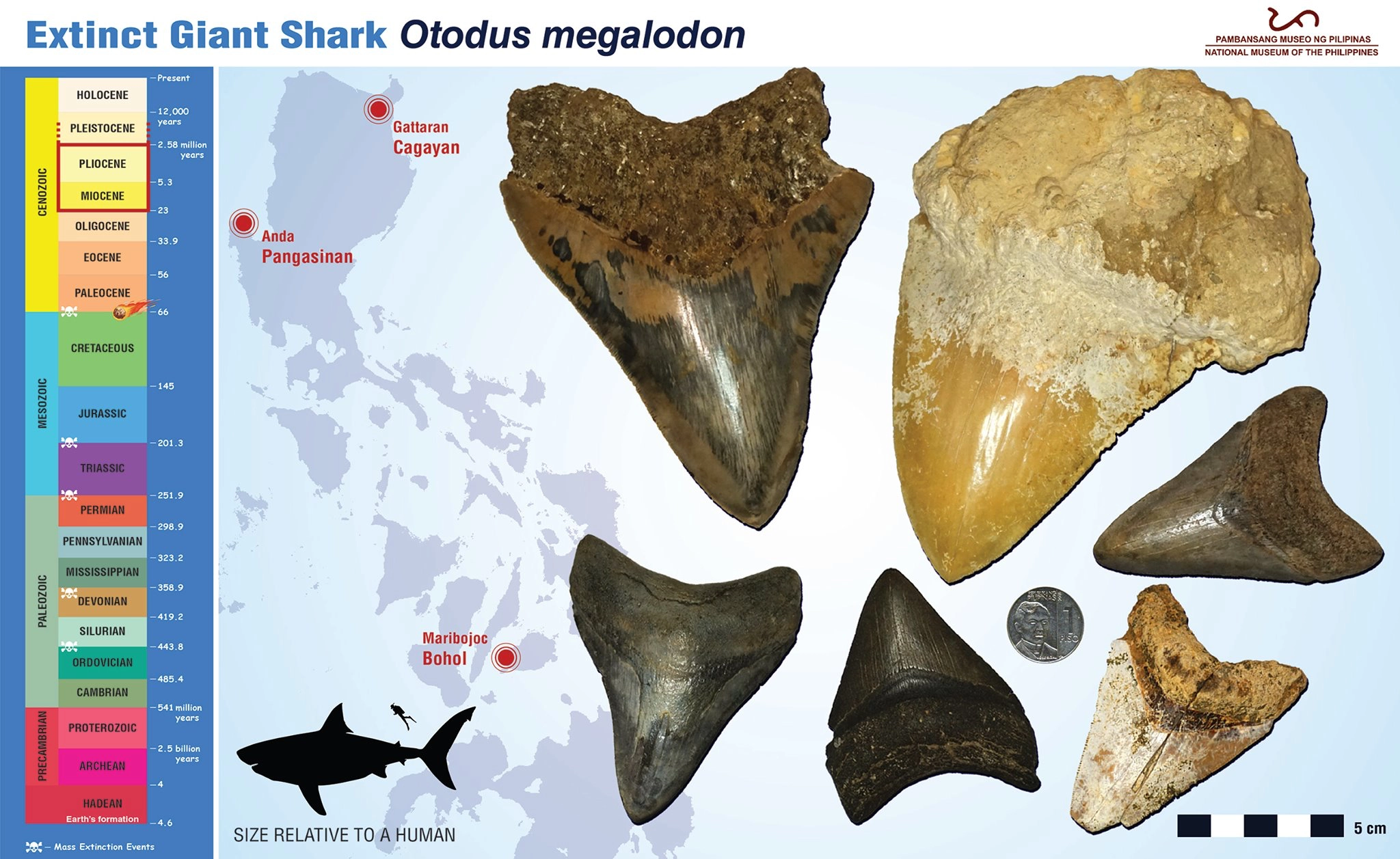 6 Extinct Animals That Once Roamed The Philippines
