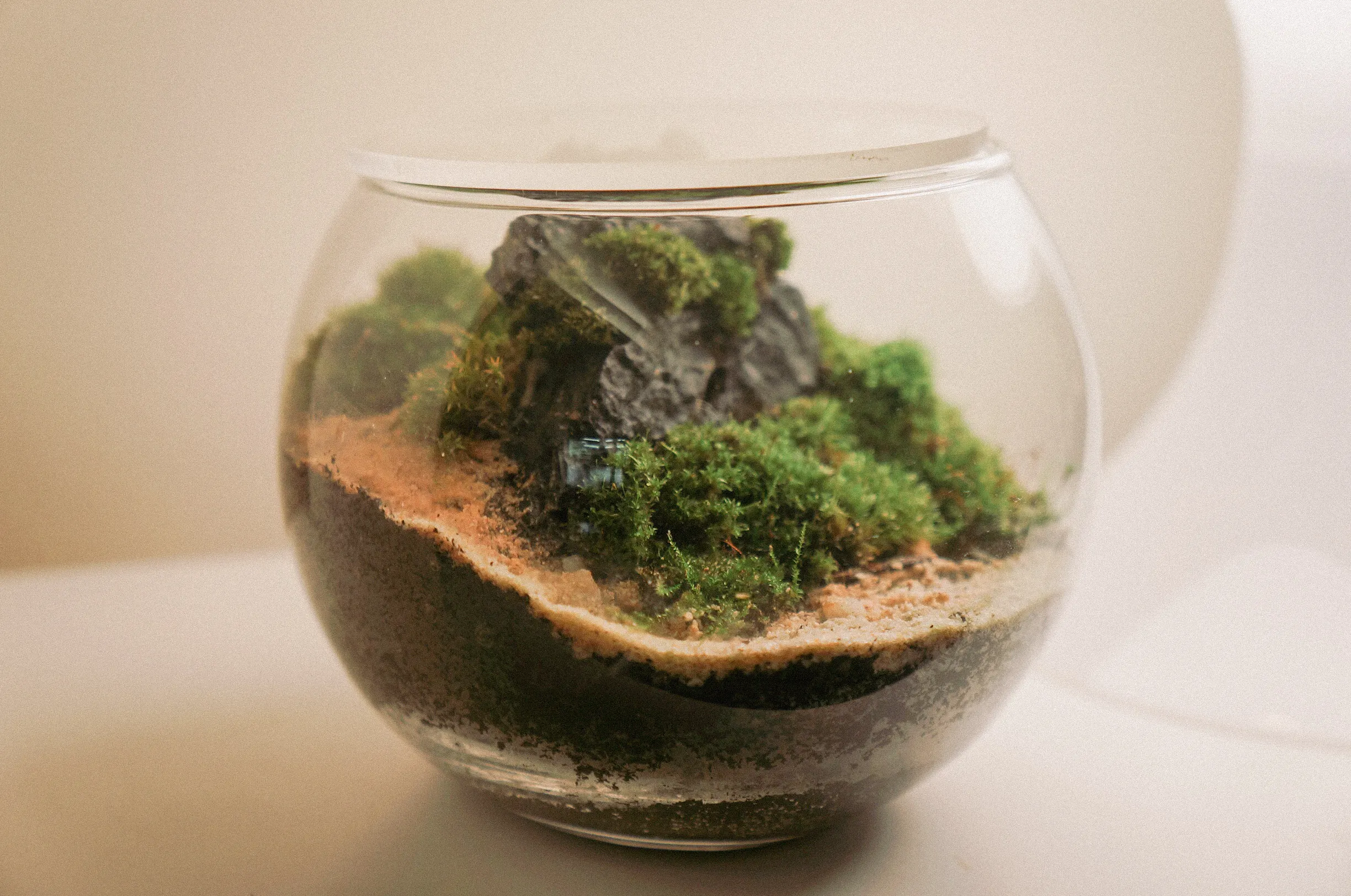 MoCAF: The Christmas Edit! Brings Fresh And Fun Artistry To The Holidays 