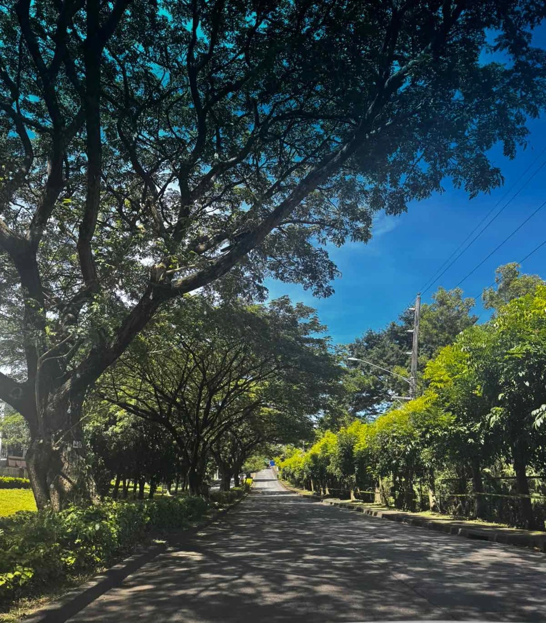 SM Susana Heights: Where Legacy Meets The Future of Purposeful Living