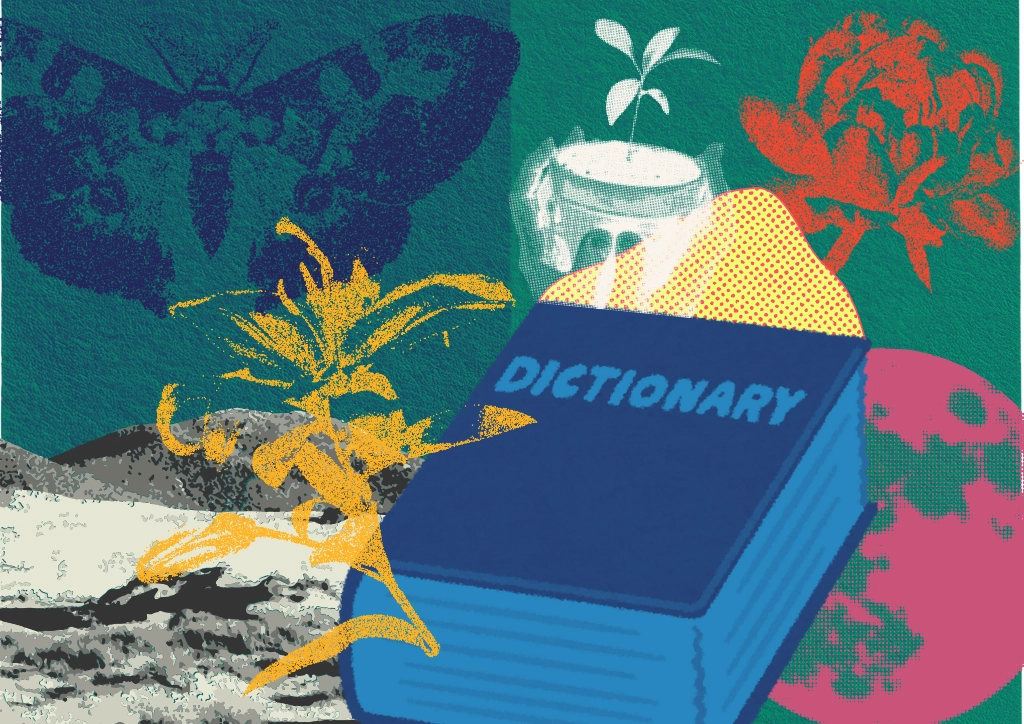 The Vanishing Language of Nature