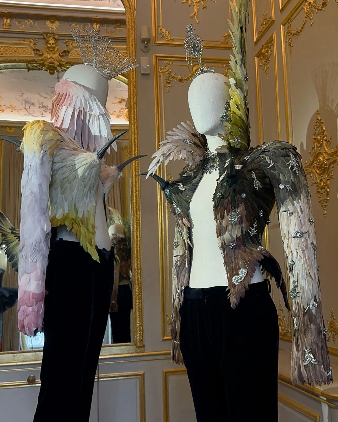 Haute Couture SS26 Edition