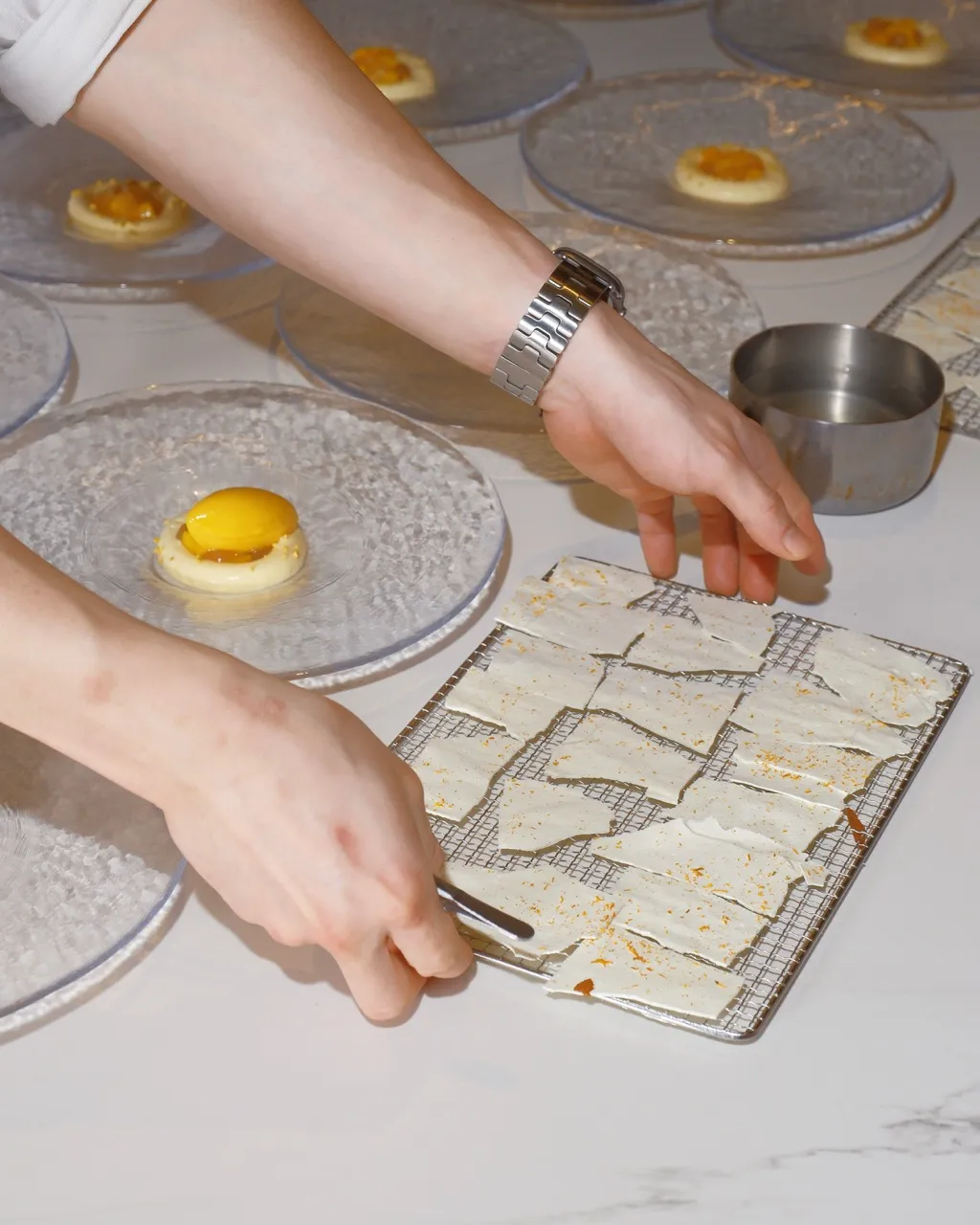 Josh Boutwood x BOCU