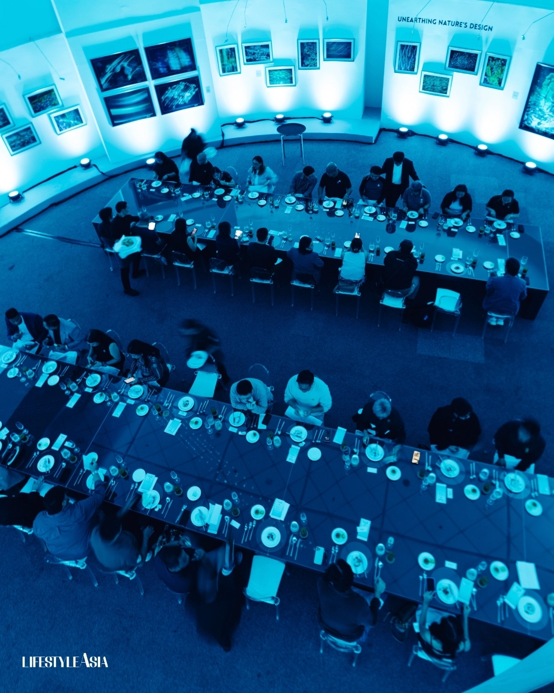 IQOS x Isabel Santos