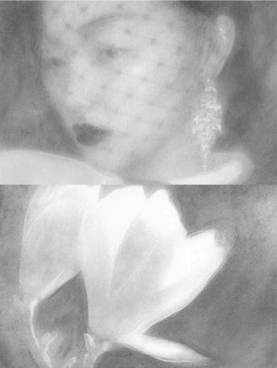 Une Chambre À Soi: Inside The Creative Sanctuary Of Kim Cruz