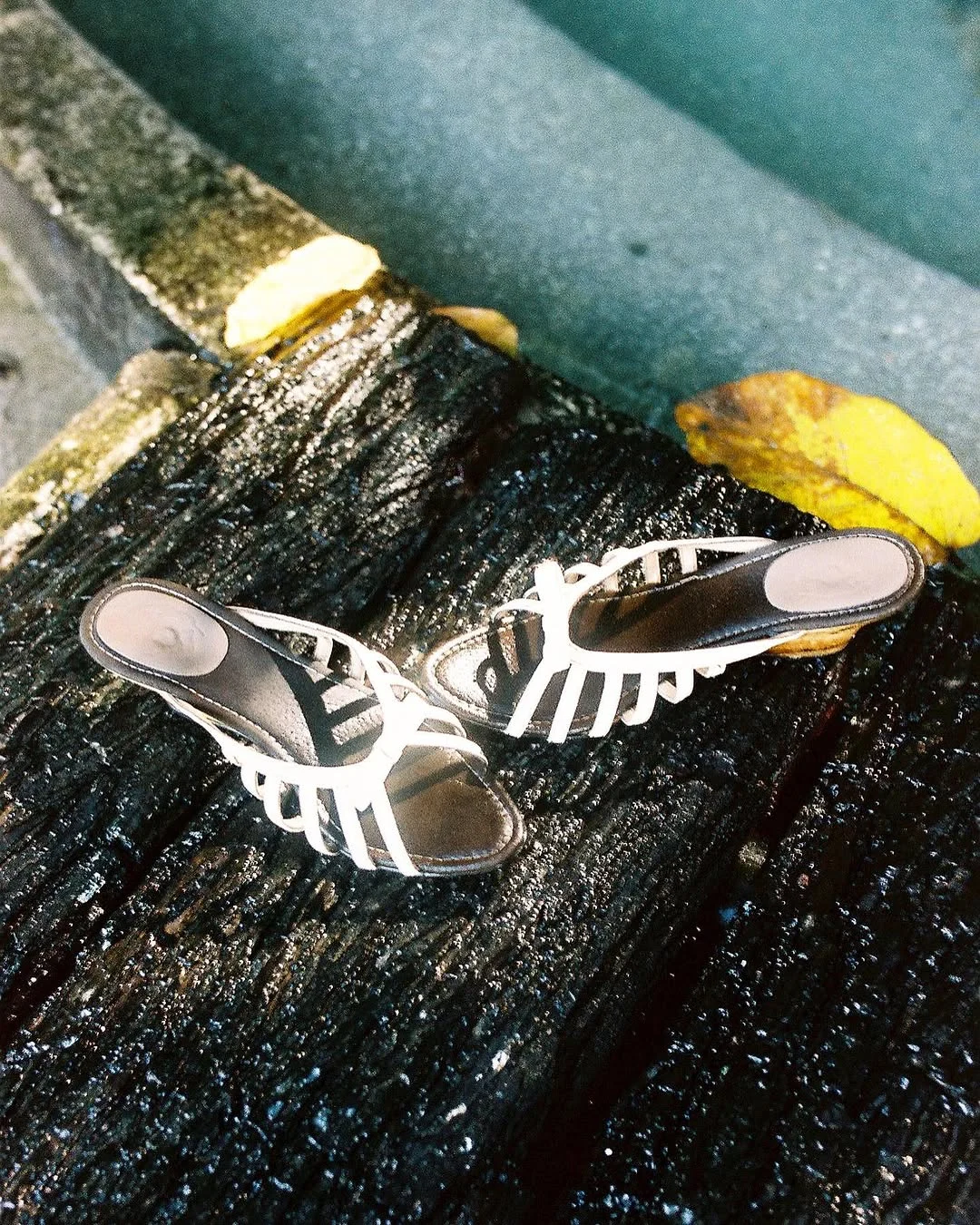 Fettuccine Wedge from Jos Mundo