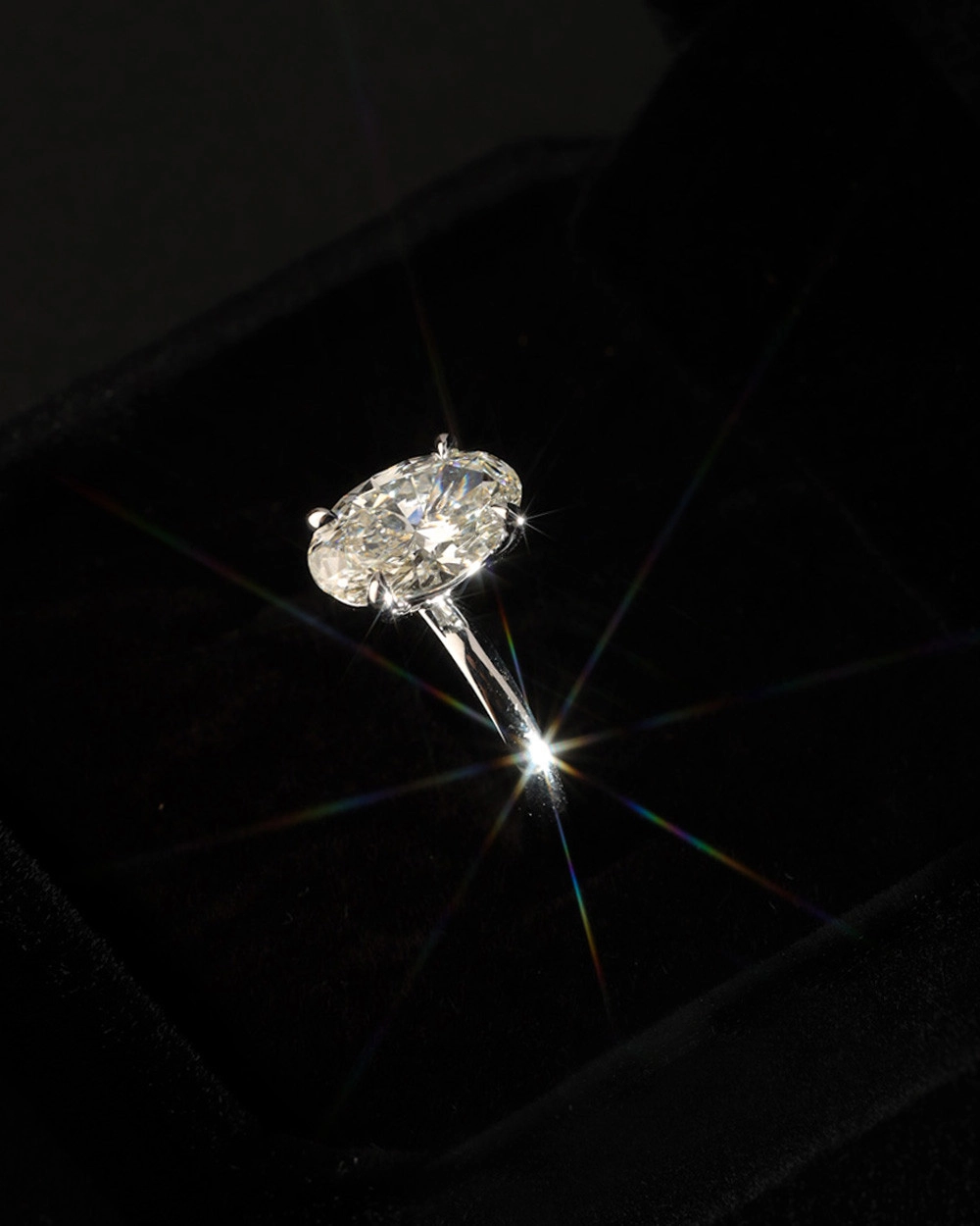 A ring set in white gold