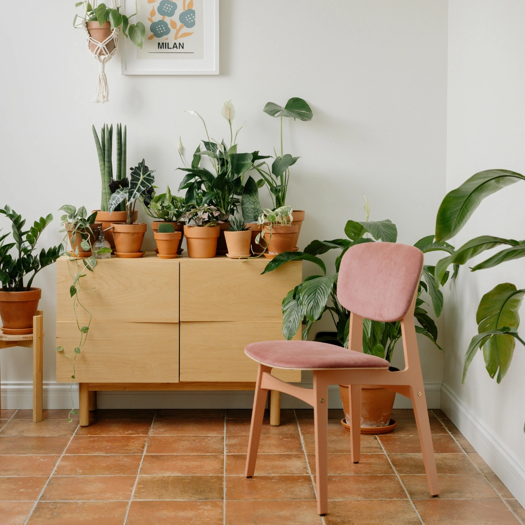 The Best Indoor Plants For Small Spaces And Busy People / Photo via Pexels