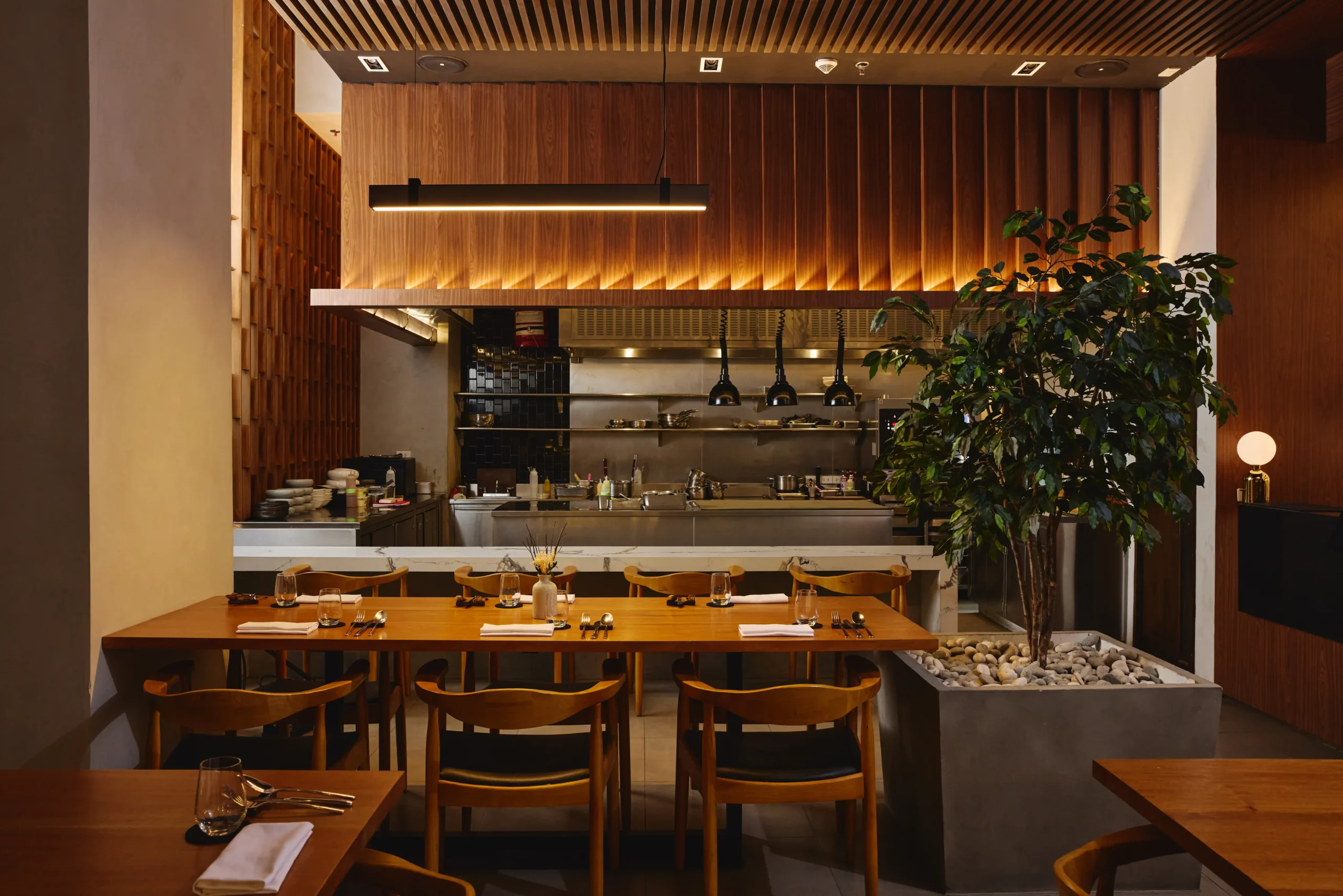 The interiors of Tandem
