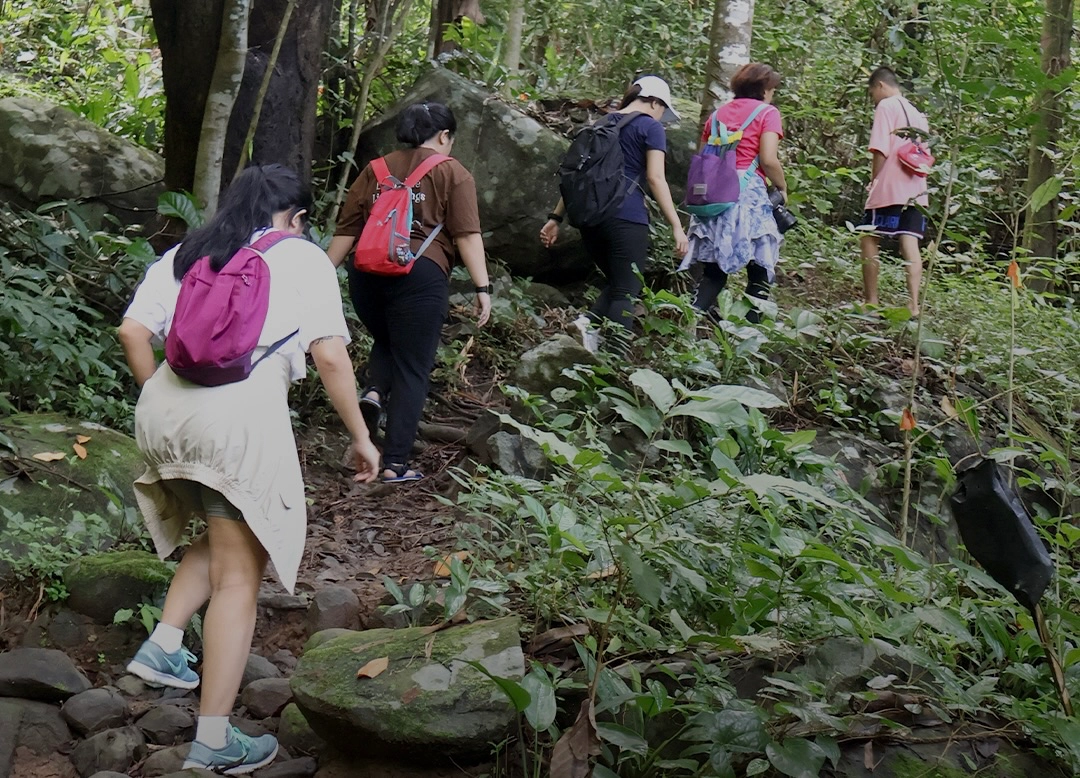 Beginner Hiking Trails
